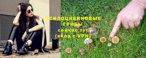 ешки Алзамай