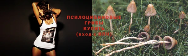 меф Богородицк