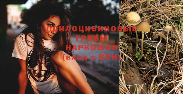 MDMA Premium VHQ Алексеевка