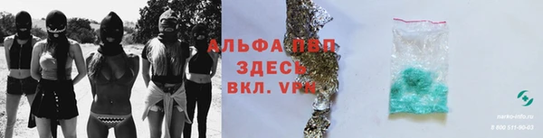 молекула духа Переславль-Залесский